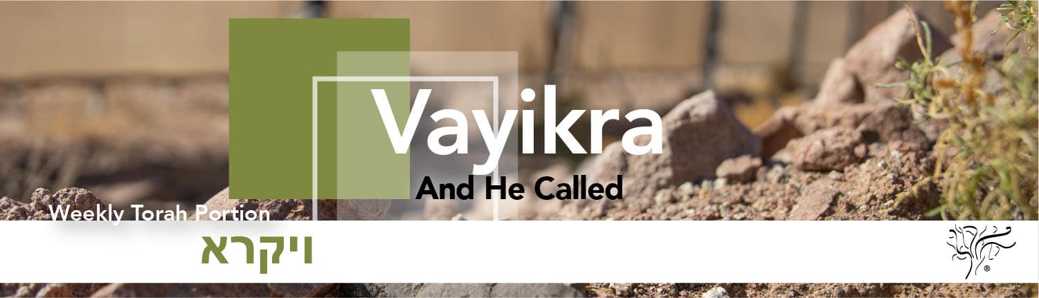 Torah Portion Vayikra STBM Messer