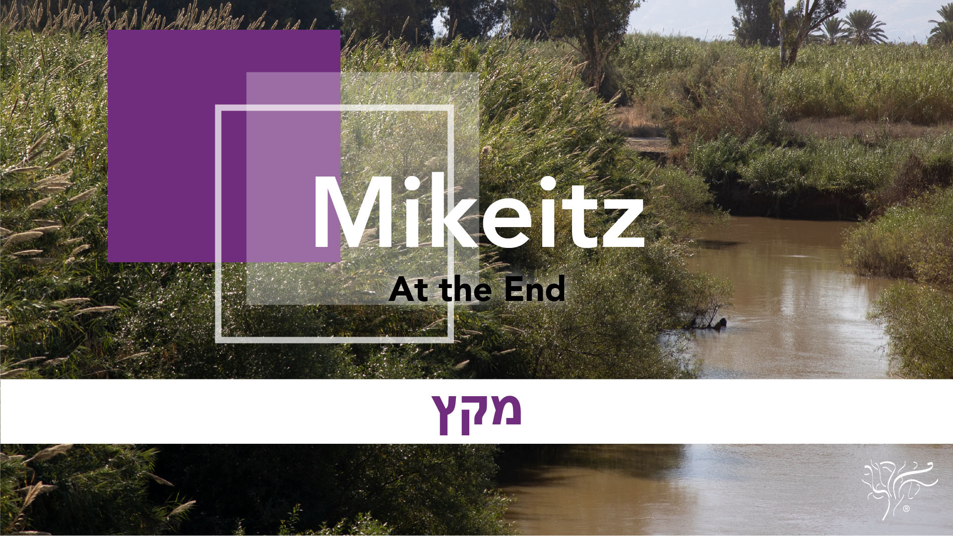 Torah Portion Mikeitz STBM Messer