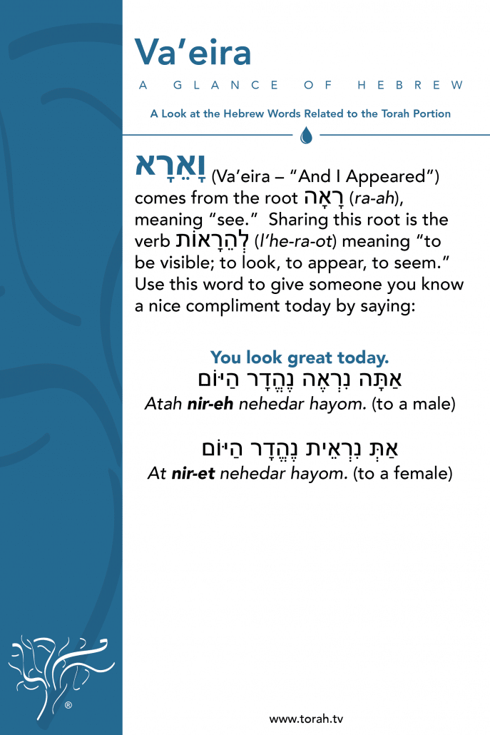 A Glance of Hebrew | Va'eira STBM Messer