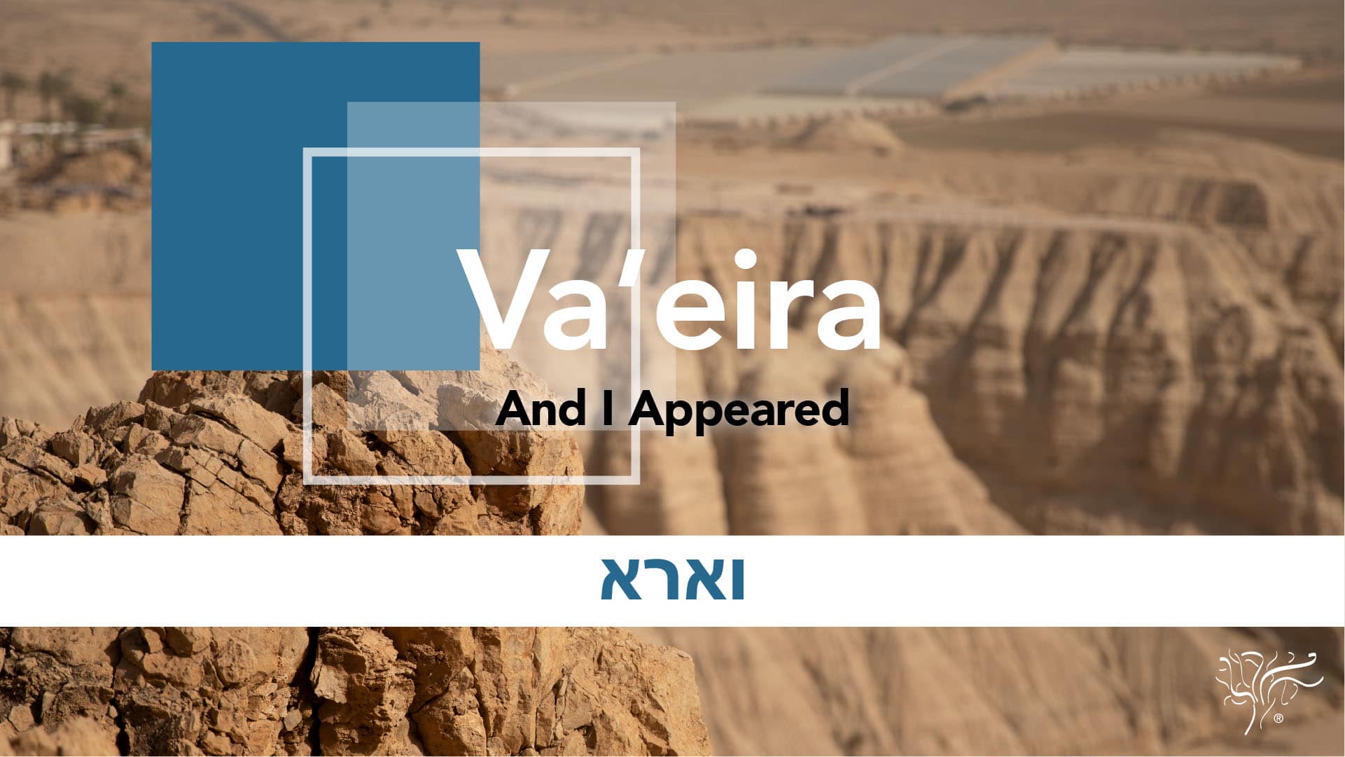 Torah Portion Va'eira STBM Messer