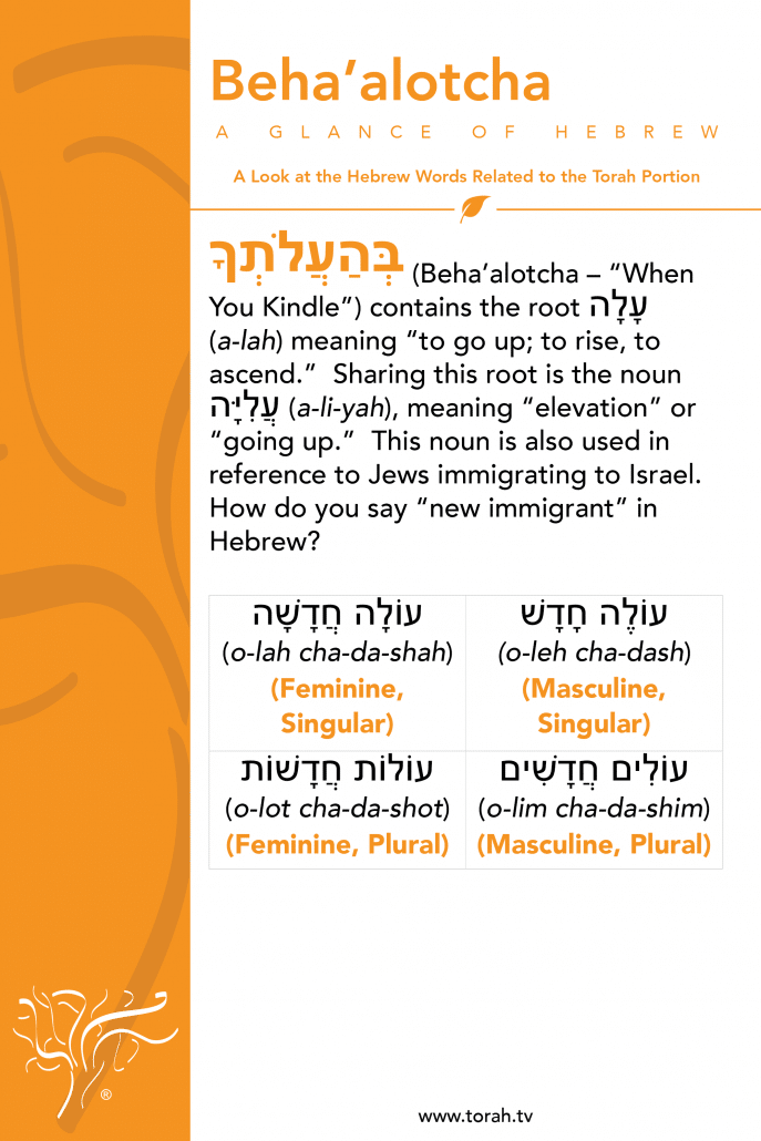 A Glance of Hebrew | Beha'alotcha STBM Messer