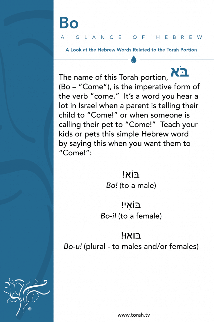 A Glance of Hebrew | Bo STBM Messer