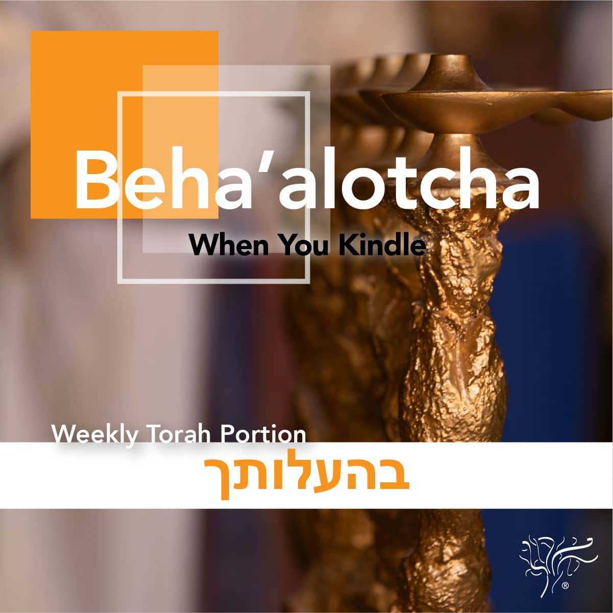 Torah Portion Beha’alotcha STBM Messer