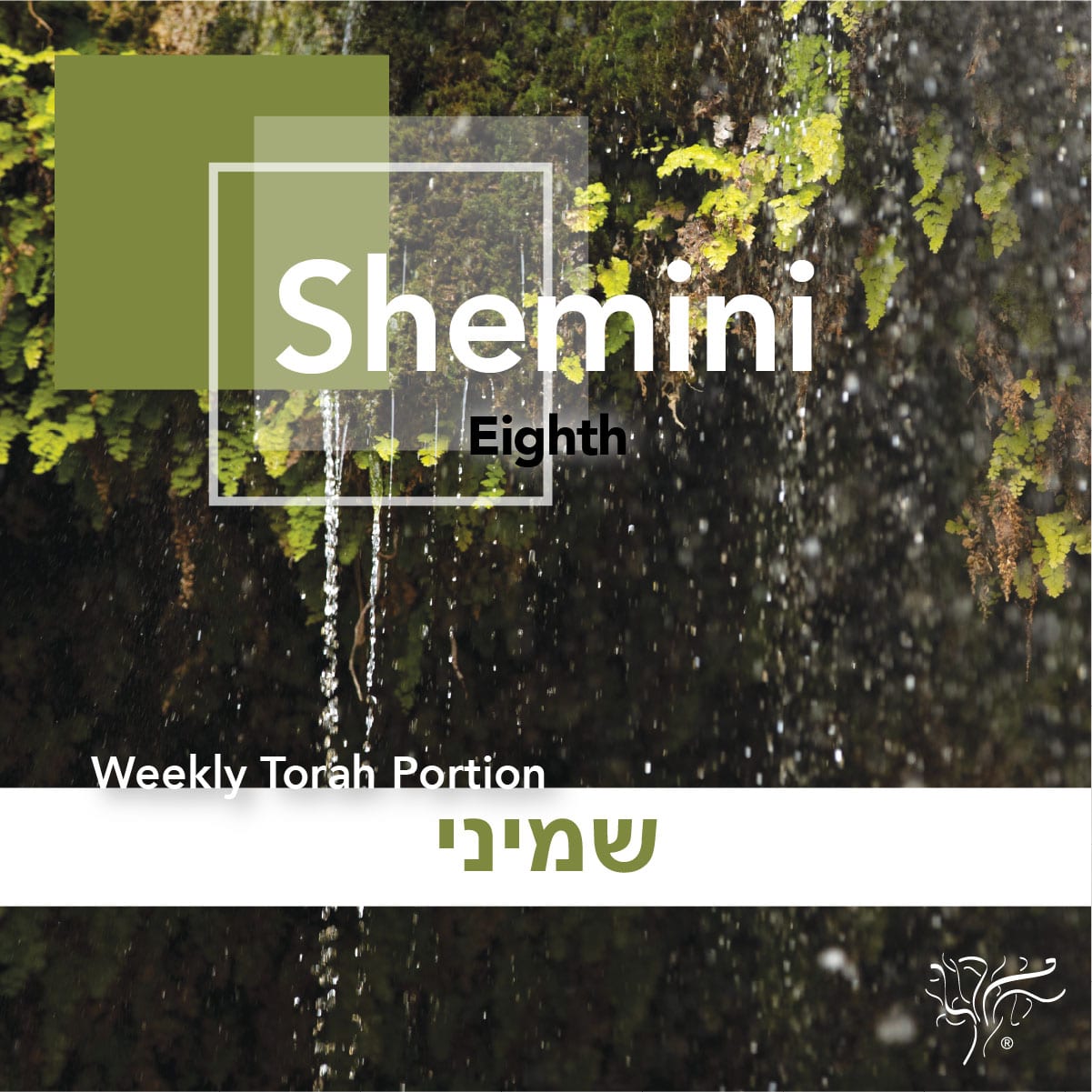 Torah Portion Shemini STBM Messer