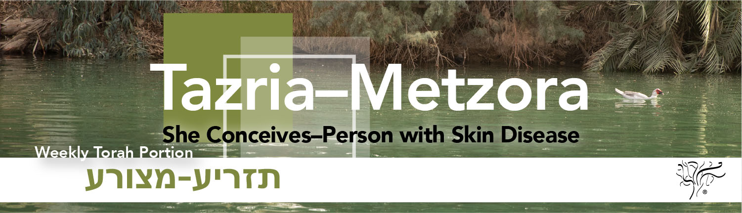 Torah Portion Tazria–Metzora STBM Messer