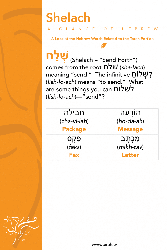 A Glance of Hebrew | Shelach STBM Messer