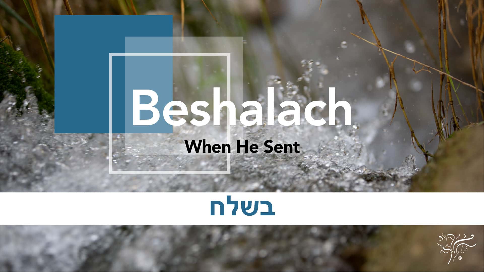 Torah Portion Beshalach STBM Messer