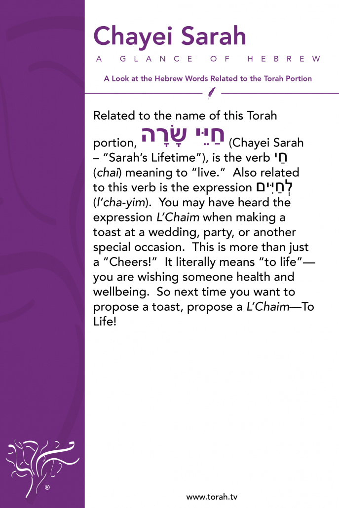 A Glance of Hebrew | Chayei Sarah STBM Messer