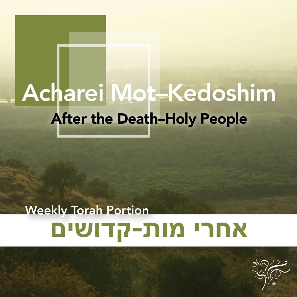 Torah Portion Acharei Mot–Kedoshim STBM Messer