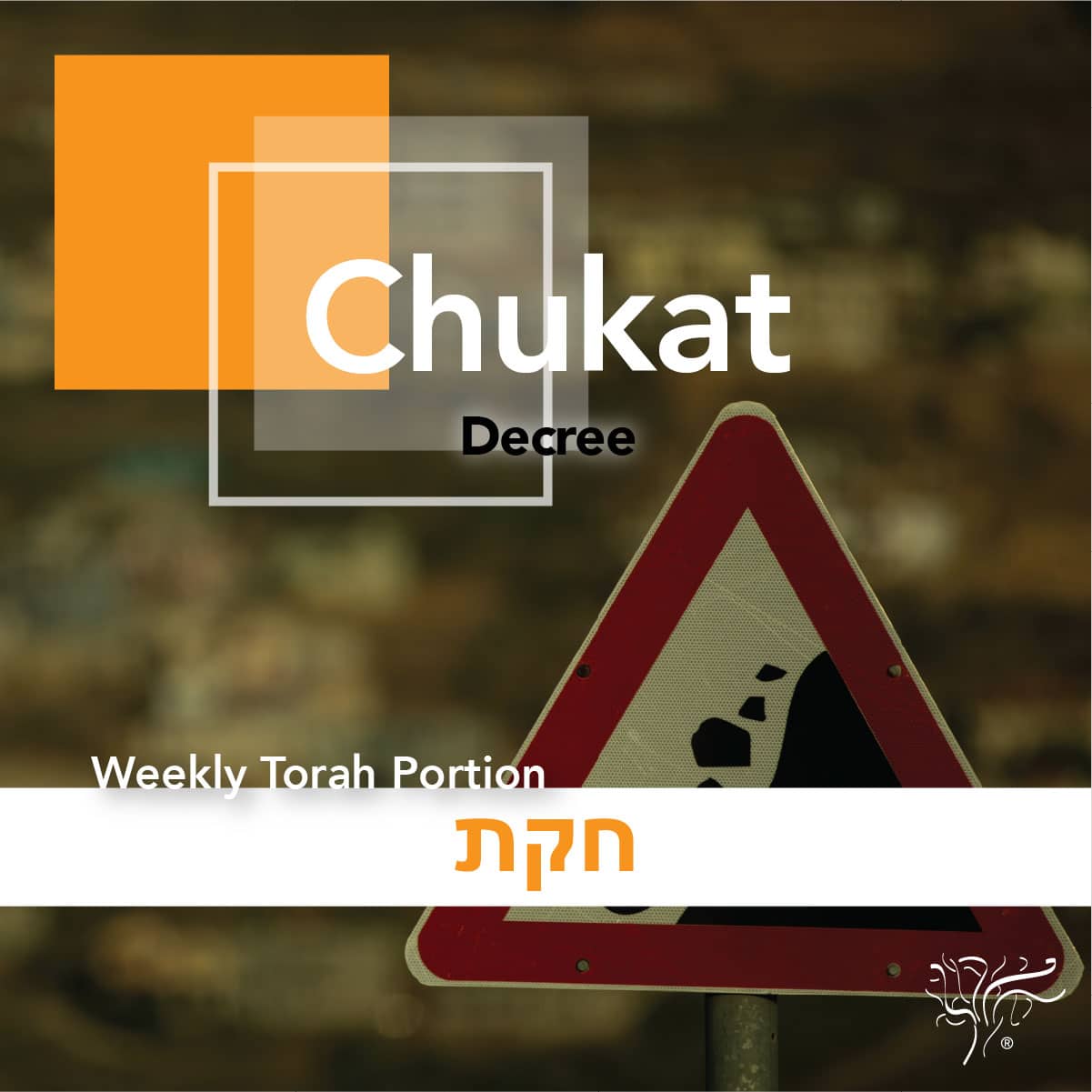 Torah Portion Chukat STBM Messer