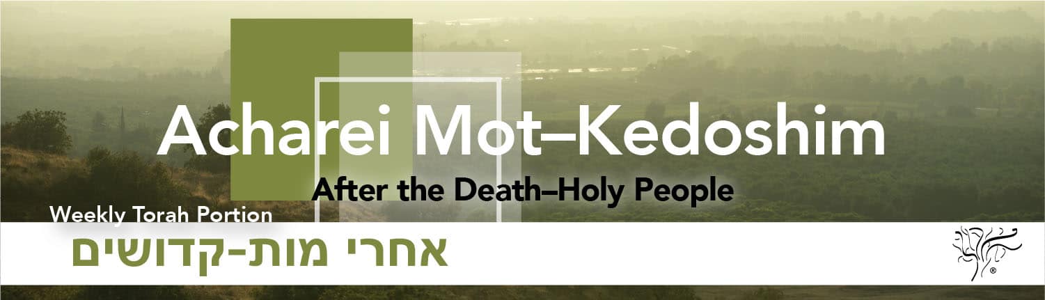 Torah Portion Acharei Mot–Kedoshim STBM Messer