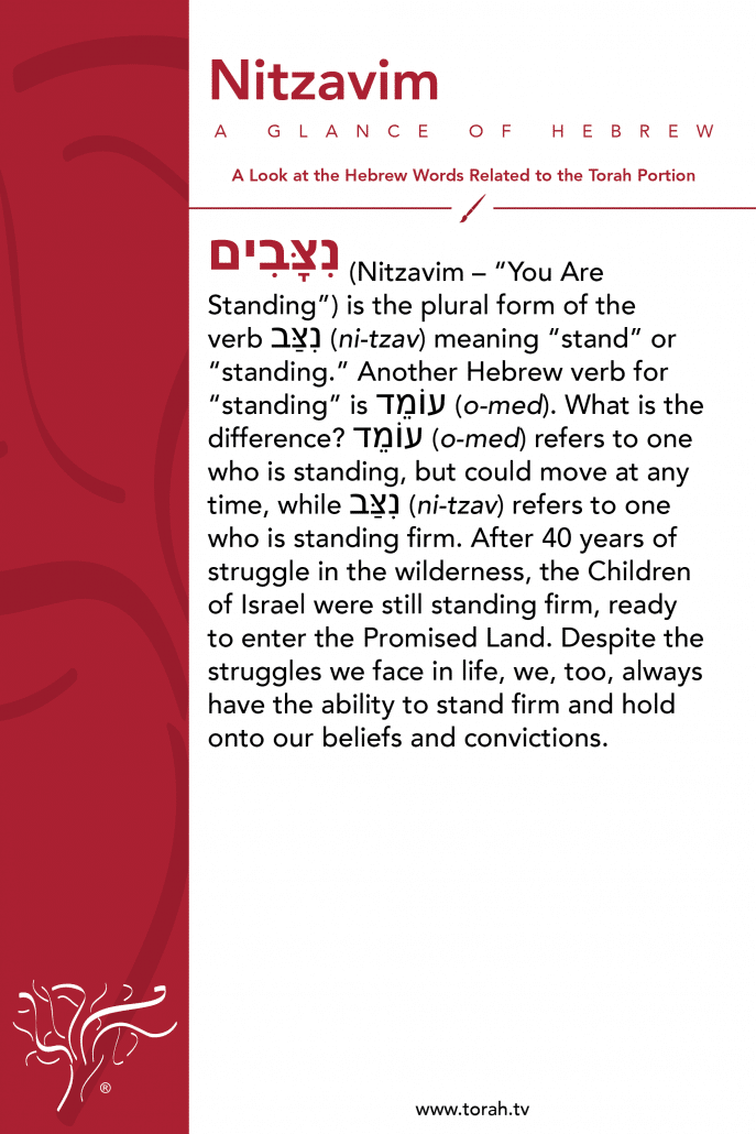 A Glance of Hebrew | Nitzavim STBM Messer
