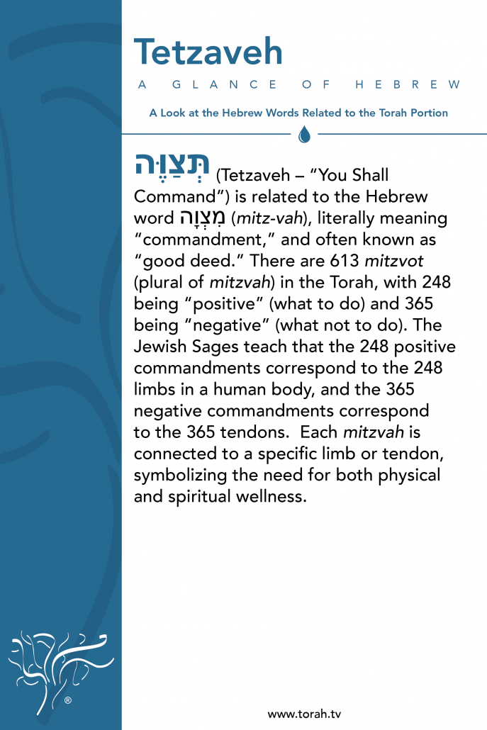 A Glance of Hebrew | Tetzaveh STBM Messer