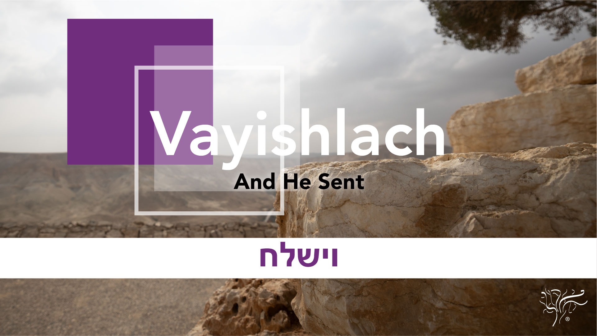 Torah Portion Vayishlach STBM Messer