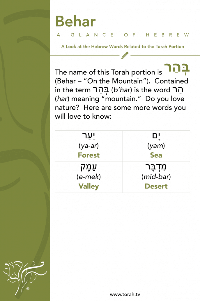 A Glance of Hebrew | Behar STBM Messer
