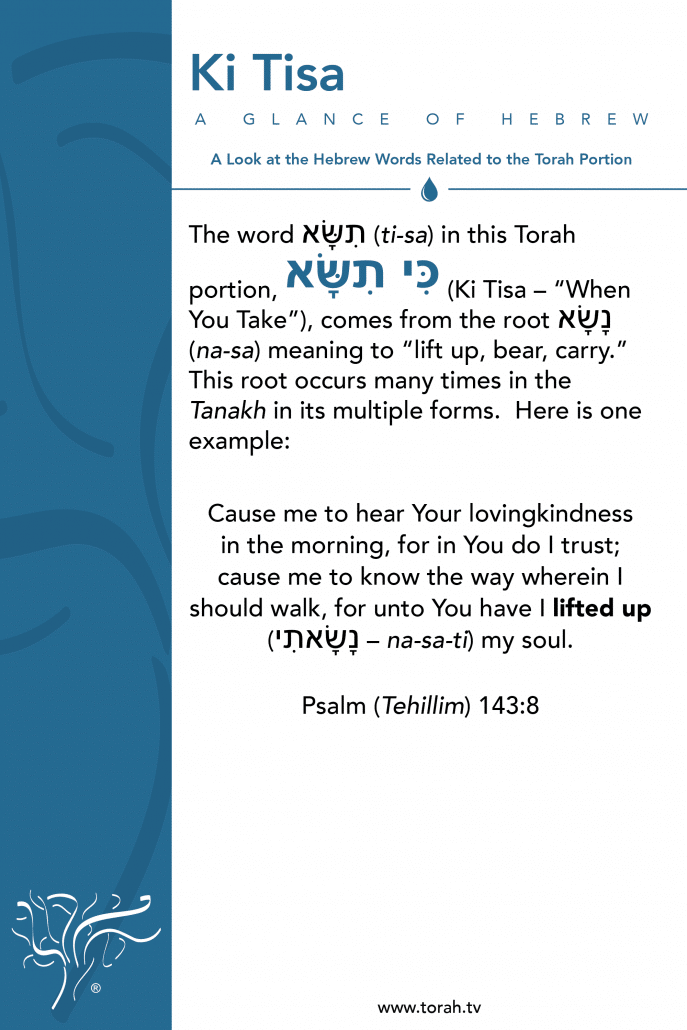 A Glance of Hebrew | Ki Tisa STBM Messer