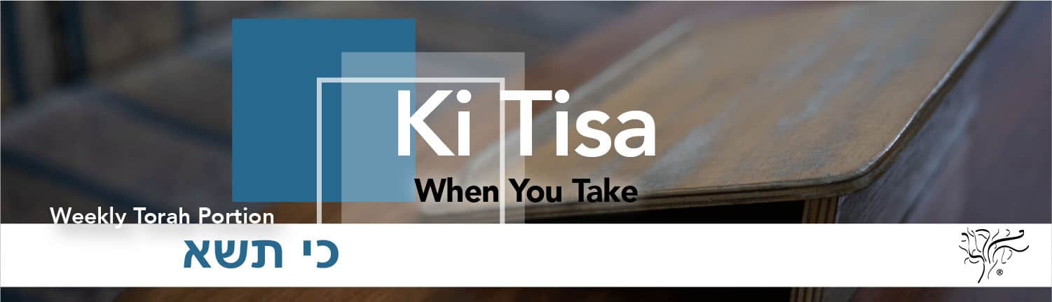 Torah Portion Ki Tisa STBM Messer