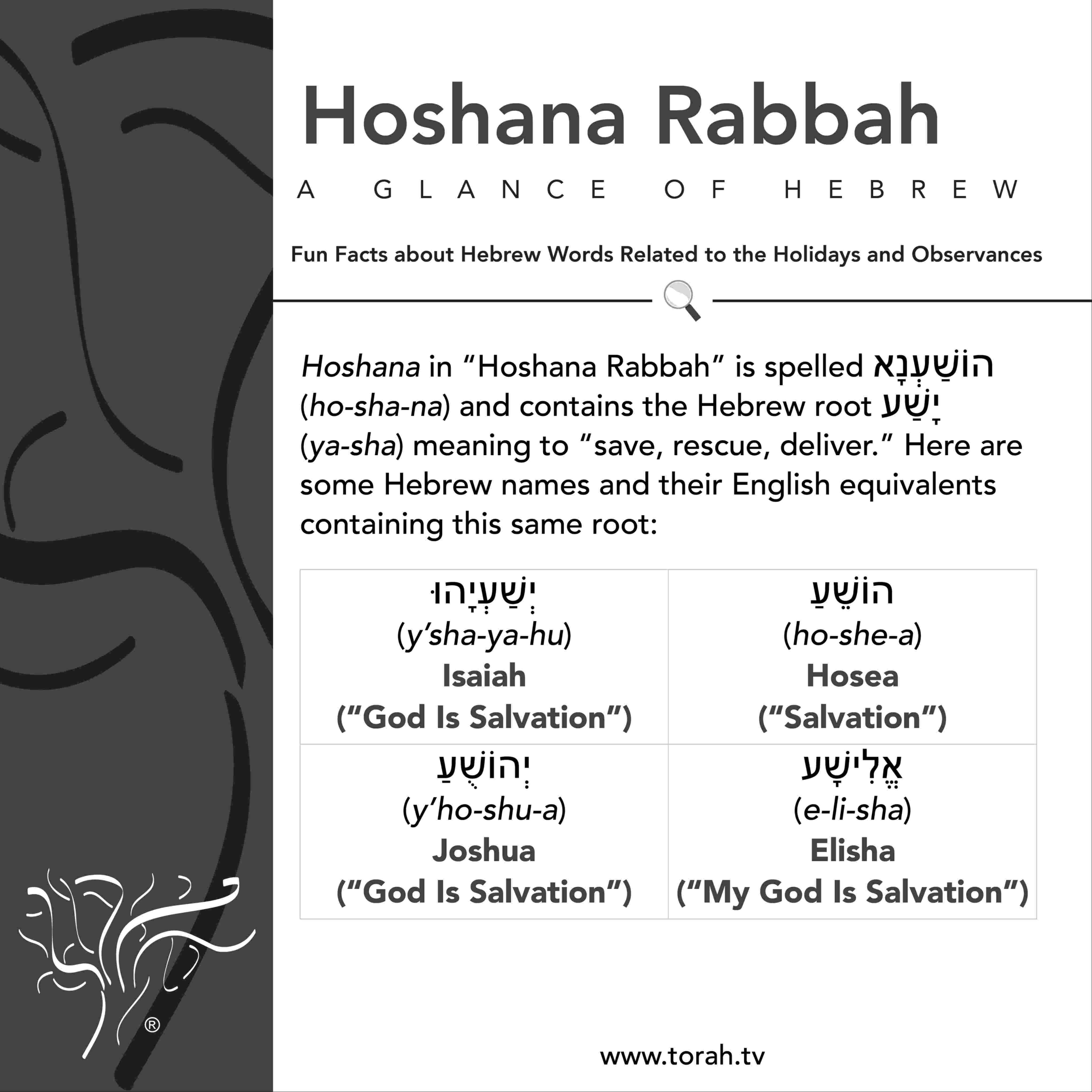 Holidays - Hoshana Rabbah - Simchat Torah Beit Midrash®