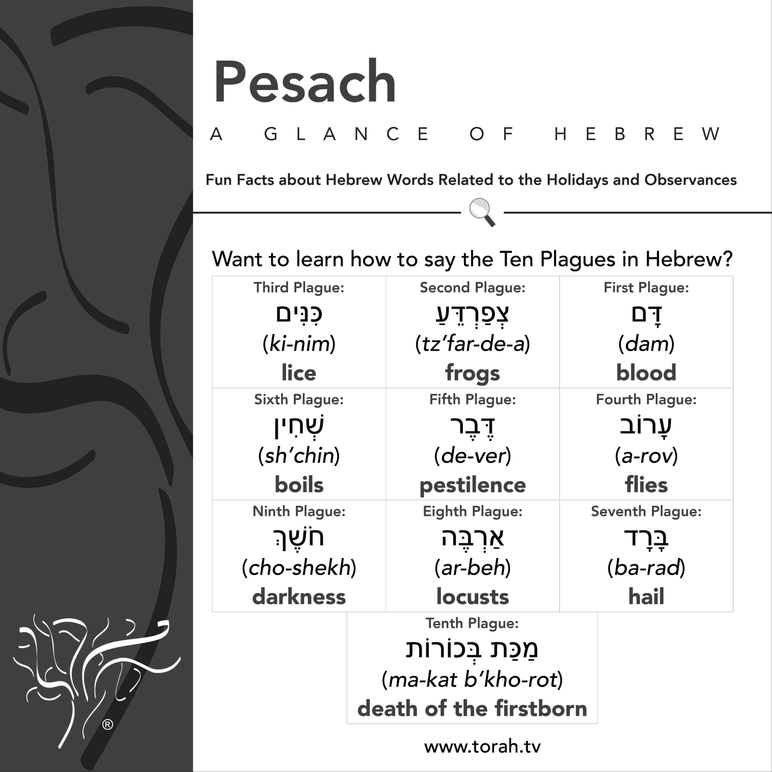 Holidays - Pesach - Simchat Torah Beit Midrash®